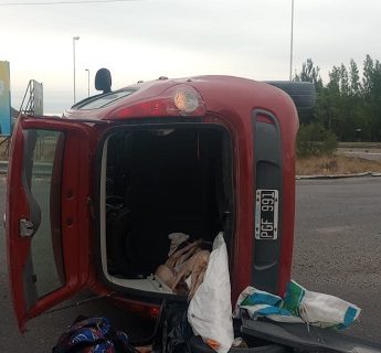 Sujeto detenido en Rada Tilly por desobediencia y transporte ilegal de porcinos