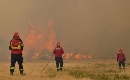 El fuego consumió 8205 hectáreas en el Parque Nacional Los Alerces