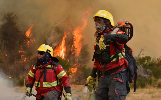 Brigadistas repudiaron enérgicamente las declaraciones del exvicepresidente de Parque Nacionales