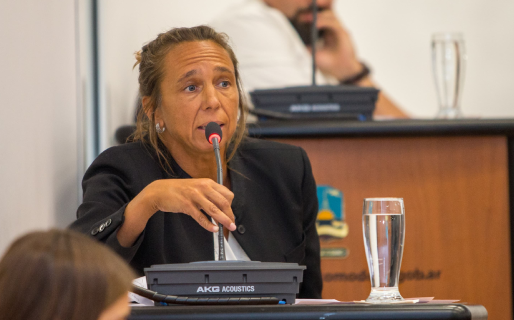 La concejal Ferreira defendió la postura del bloque de JxC y cruzó a Macharashvili: “Despilfarran…”