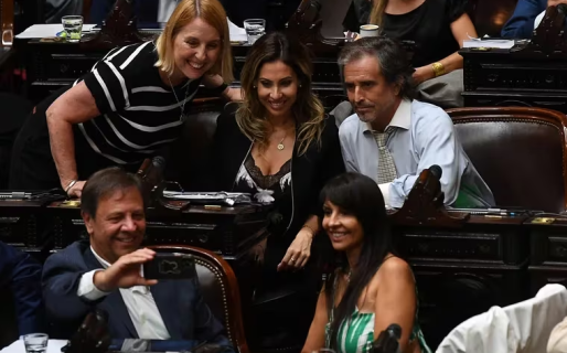 Diputados de La Libertad Avanza presentaron un proyecto para derogar el aborto legal