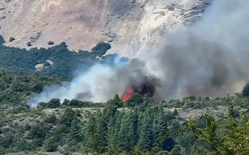 Avanza el combate contra el fuego en el Parque Nacional Los Alerces ante la baja de temperatura