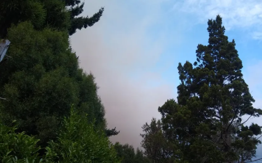 Bariloche tapado de humo: incendio en el parque Nahuel Huapi