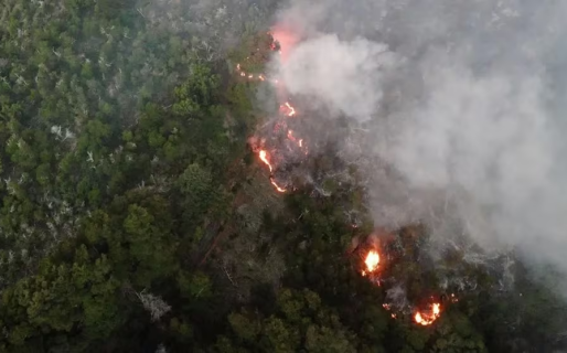 Parque Los Alerces: El fuego consumió casi 7000 hectáreas y avanza hacia Esquel