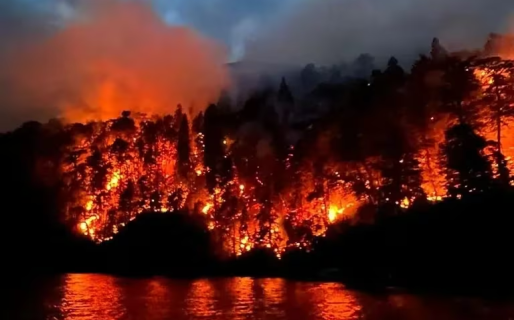 El Gobierno ofrece $ 5 millones a quienes aporten datos sobre los incendios