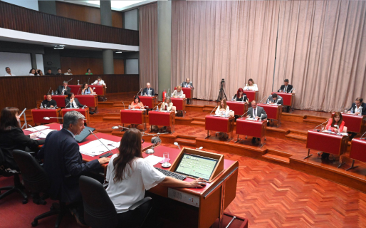 Legislatura respaldó a Torres “para recuperar los fondos provinciales”