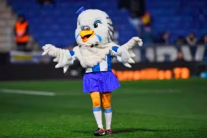 Un futbolista fue acusado de abuso sexual a la mascota de un equipo de fútbol