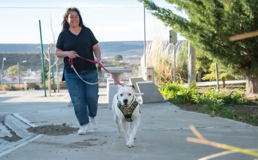 El sábado se realizará una nueva jornada de esterilización gratuita de perros y gatos