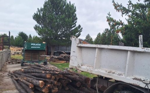 Un hombre transportaba leña sin los permisos correspondientes