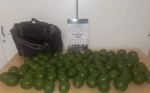 Detuvieron a tres jóvenes por robar paltas de un hotel alojamiento