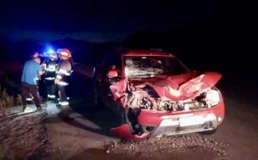 Embistió un ciervo y una mujer resultó con politraumatismo en el cráneo