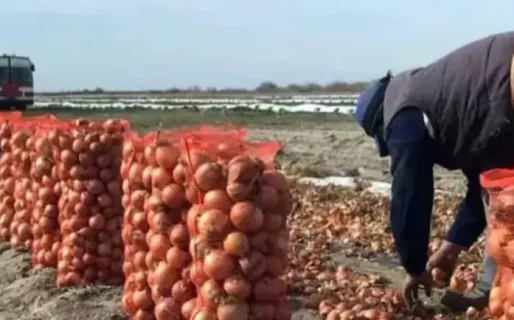 Asesinaron a balazos a un joven que habría intentado robar una bolsa de cebollas