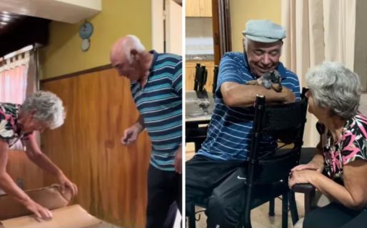 Su mascota murió y sus nietas decidieron sorprenderlos con un gran regalo