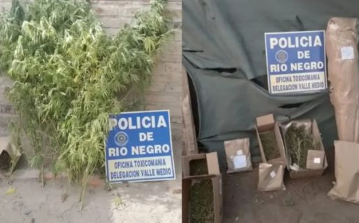 Lograron desmantelar redes de narcotráfico en Neuquén y Río Negro