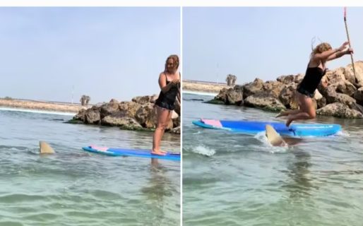 Una surfista fue atacada por un tiburón y todo quedó registrado a través de un celular