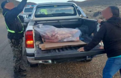 Transportaban carne de ternero sin cumplir las normas sanitarias