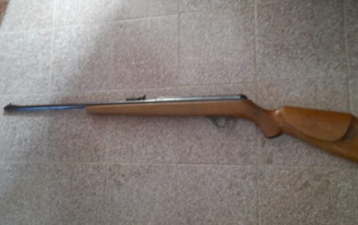 Decomisaron un arma tras demorar a dos cazadores: tenían un guanaco en el baúl