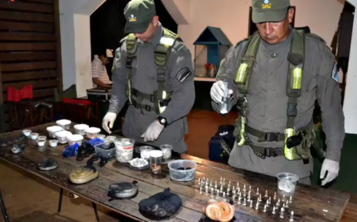 Detuvieron a un hombre que viajaba con 90 serpientes, 236 arañas y un ciempiés en la valija