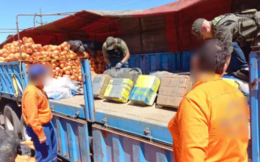 Encontraron más de 860 kilos de cocaína en una carga de zapallos