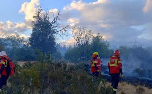 Provincia controló incendio forestal en la zona de Los Cipreses