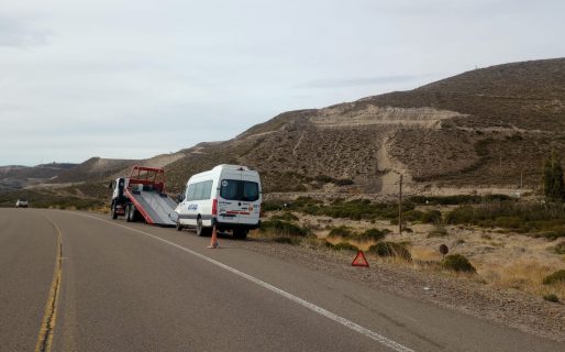 Una camioneta chocó contra dos guanacos en Ruta N26