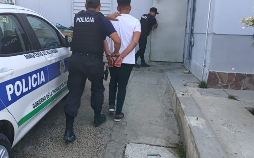 Detenido tras violento intento de robo en Barrio Américas