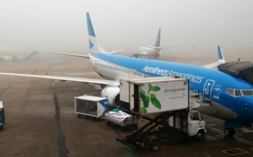 El Gobierno negocia quitar la privatización de Aerolíneas de la Ley Bases