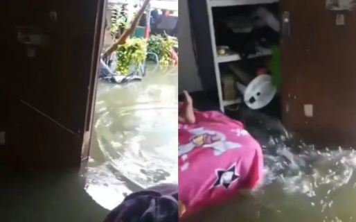 Se inundó su casa por las intensas lluvias, notó algo en el agua y tomó una inusual decisión