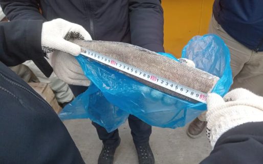 Decomisaron el barco chino que pescó ilegalmente merluza negra