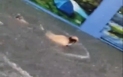 Insólito: un hombre empezó a nadar en plena inundación y se ahogó