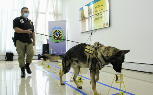 «Danko», el primer perro policía que identifica a los sospechosos por su olor