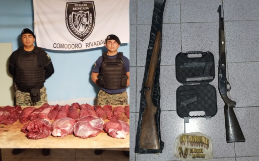 Cazadores ilegales fueron sorprendidos con piezas de guanaco y arsenal de armas