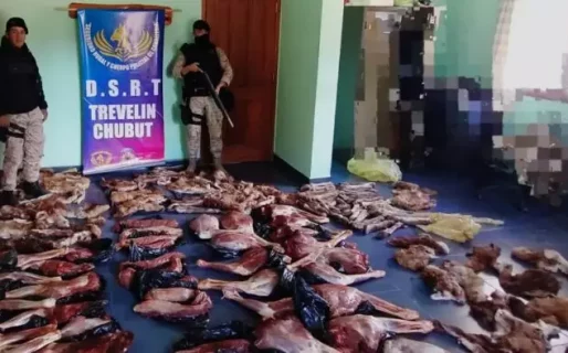 Secuestran 450 kilos de carne de guanaco en Trevelin durante un control operacional