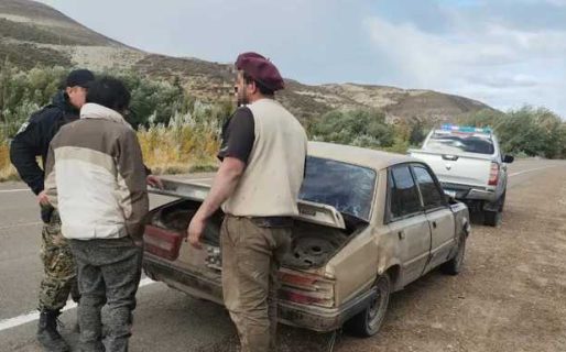 Circulaban con 200 kilos de carne de guanaco y sin permiso de caza