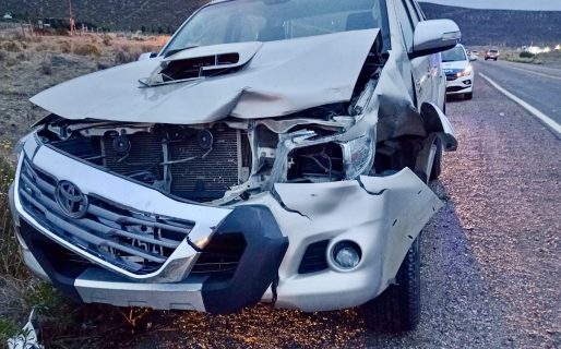 Se le cruzó un caballo frente al Club Chenque y no lo pudo esquivar