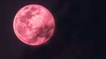 Luna llena Rosa de abril: cómo y a qué hora ver el fenómeno en Argentina