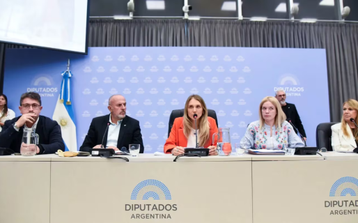 En medio de la polémica por los sueldos de los senadores, comienza el debate de la Ley Ómnibus en Diputados