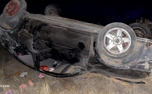 Una familia tuvo un accidente en el ingreso a Punta Tombo y dos menores resultaron heridas