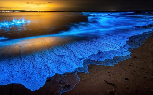 El fascinante espectáculo de la bioluminiscencia en Chubut: dónde y cuándo observarlo