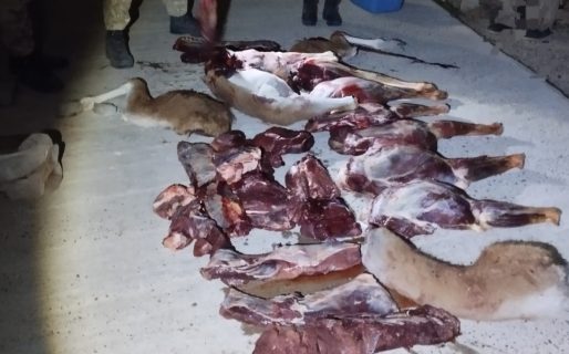 Secuestraron armas y carne de guanaco en medio de un control de seguridad