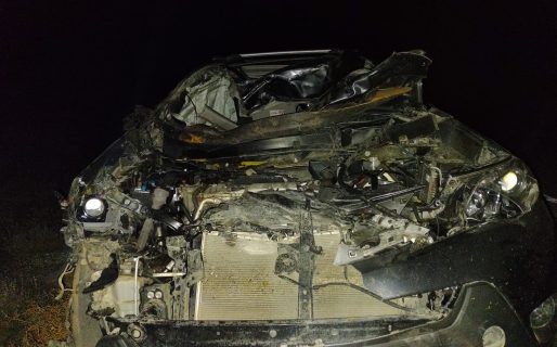 Una camioneta chocó contra dos caballos sueltos en la Ruta 40