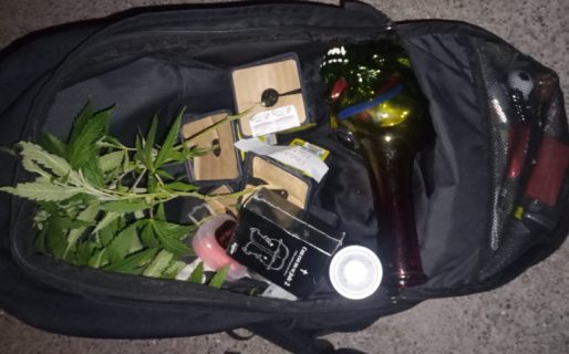 Tres detenidos por robo de plantas de marihuana