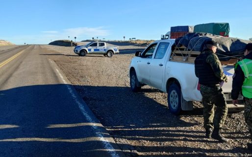 Detectan el traslado ilegal dos caprinos y un ovino