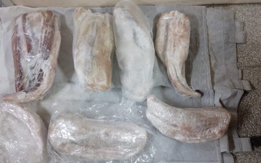 Llevaban pescado en el baúl del auto y se lo secuestraron