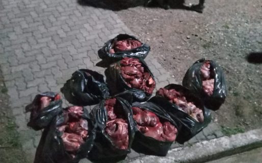 Secuestran gran cantidad de carne de guanaco y un arma de fuego