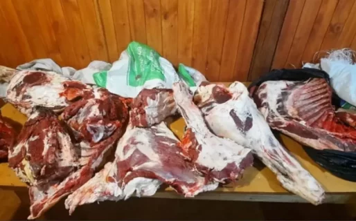 Secuestro de carne bovina en un control