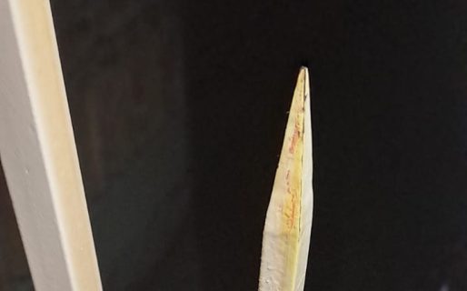 Entró a robar en una vivienda y se clavó la reja del portón en el pie