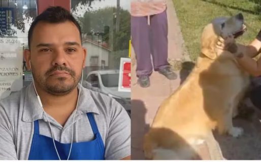 “Tiene buen pelaje”: el macabro plan de la mujer que llevó a su perro a la carnicería para faenarlo