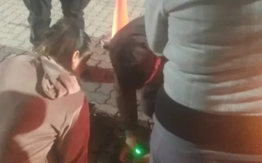 Secuestraron marihuana con la asistencia de la división canes