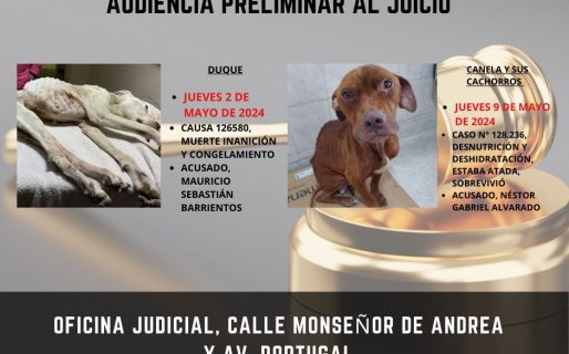 Se fijaron las fechas para las audiencias preliminares a los juicios por maltrato animal